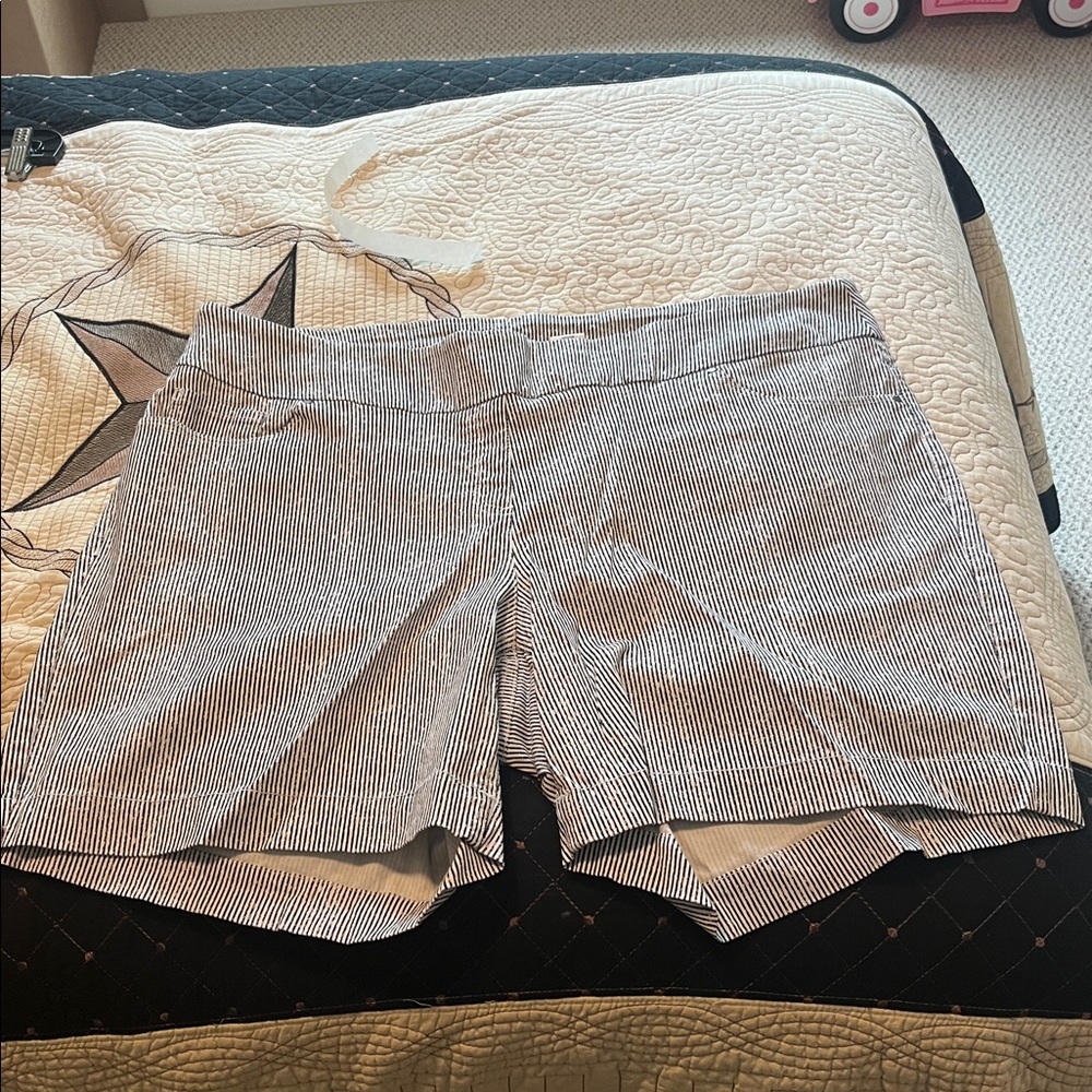 Westbound Woman's Park Avenue Fit Black/White Striped Short. Size 22W